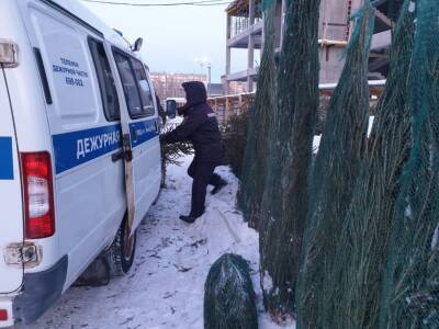 В Удмуртии прошел рейд по ёлочным базарам - gorodglazov.com - Россия - респ. Удмуртия - Ижевск - Удмуртия