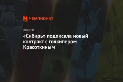 «Сибирь» подписала новый контракт с голкипером Красоткиным - championat.com