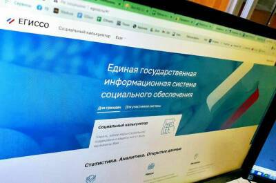 Внедрение ЕГИССО не упростило назначение мер соцподдержки, заявили в Счётной палате - pnp.ru