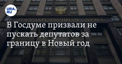 В Госдуме призвали не пускать депутатов за границу в Новый год. «Смогут понять болевые точки» - ura.news - Россия