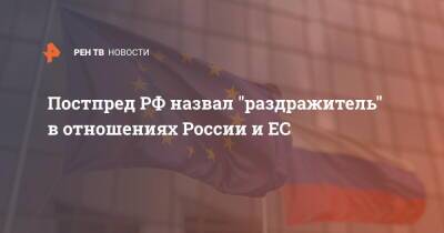 Владимир Чижов - Постпред РФ назвал "раздражитель" в отношениях России и ЕС - ren.tv - Россия - Украина - Германия - Франция