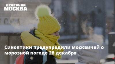 Синоптики предупредили москвичей о морозной погоде 28 декабря - vm.ru - Москва - Московская обл. - Москва