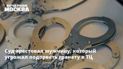 Суд арестовал мужчину, который угрожал подорвать гранату в ТЦ - vm.ru