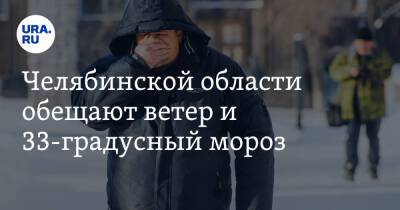 Алексей Текслер - Наталья Котова - Челябинской области обещают ветер и 33-градусный мороз. Скрин - ura.news - Челябинская обл.