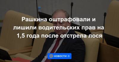 Рашкина оштрафовали и лишили водительских прав на 1,5 года после отстрела лося - news.mail.ru - Россия