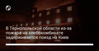 В Тернопольской области из-за пожара на хлебокомбинате задерживается поезд на Киев - liga.net - Украина - Киев - Тернопольская обл.