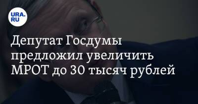 Владимир Путин - Михаил Делягин - Депутат Госдумы предложил увеличить МРОТ до 30 тысяч рублей - ura.news - Россия