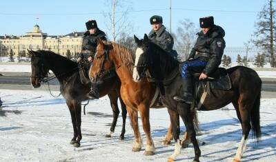 Власти будут привлекать казаков для охраны природы - newizv.ru - Ростовская обл. - респ. Калмыкия