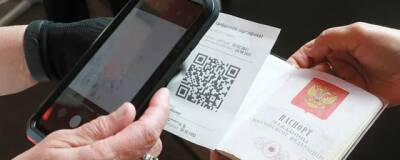 Алексей Дюмин - Тульские власти примут решение об использовании QR-кодов в общепите после праздников - runews24.ru - Тульская обл.