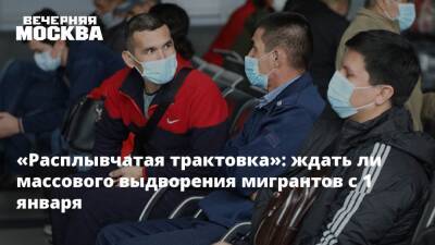 «Расплывчатая трактовка»: ждать ли массового выдворения мигрантов с 1 января - vm.ru - Москва - Россия