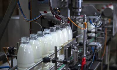 Владимир Зеленский - Производители молока просят зафиксировать для них льготный тариф на газ - capital.ua - Украина