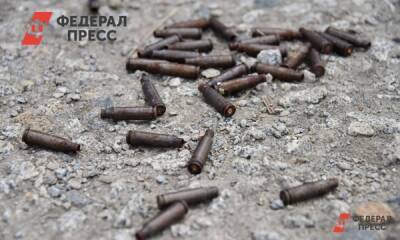 У 80-летней жительницы Новосибирска нашли оружейный склад - fedpress.ru - Новосибирск - Новосибирская обл.