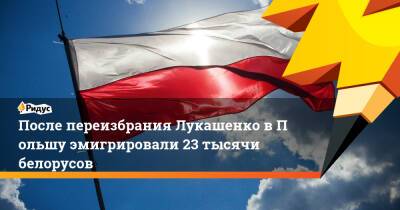 Александр Лукашенко - После переизбрания Лукашенко вПольшу эмигрировали 23 тысячи белорусов - ridus.ru - Сирия - Египет - Белоруссия - Судан - Ирак - Польша - Ливан