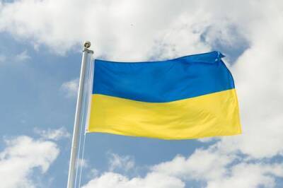 Владимир Зеленский - Новый год в Украине может начаться с серьёзных парламентских трудностей - argumenti.ru - Украина