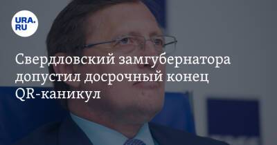 Павел Креков - Свердловский замгубернатора допустил досрочный конец QR-каникул - ura.news - Свердловская обл.