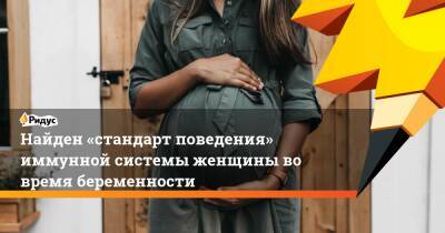 Найден «стандарт поведения» иммунной системы женщины во время беременности - ridus.ru - Норвегия
