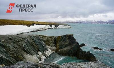 Блогер - Зачем арктический блогер №1 собирает экспедицию на Ямал - fedpress.ru - окр. Янао