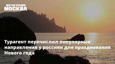 Крым признан одним из самых популярных направлений среди россиян для празднования Нового года - vm.ru - Москва - Россия - Крым - Санкт-Петербург - Краснодарский край - Крым