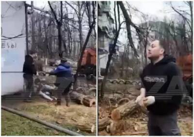В Краснодаре коммунальщик избил пенсионерку за попытку остановить вырубку дерева - rf-smi.ru - Краснодар