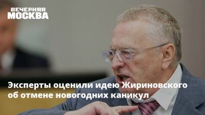 Владимир Жириновский - Эксперты оценили идею Жириновского об отмене новогодних каникул - vm.ru - Россия
