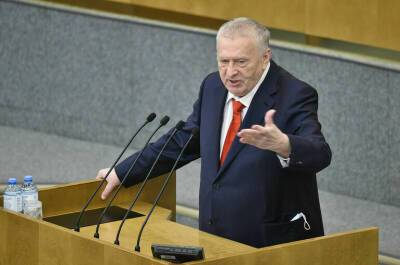 Владимир Жириновский - Жириновский предложил включить новогодние каникулы в отпуска граждан - pnp.ru - Россия