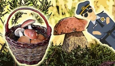 Украинцев будут штрафовать за сбор грибов и лесных ягод - eadaily.com