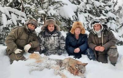 В Югре ликвидировали еще одного волка, который держал в страхе жителей поселка - znak.com - Югра