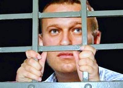 Алексей Навальный - Мария Бутина - Навального больше не подозревают в склонности к побегу - newsland.com - Владимирская обл.