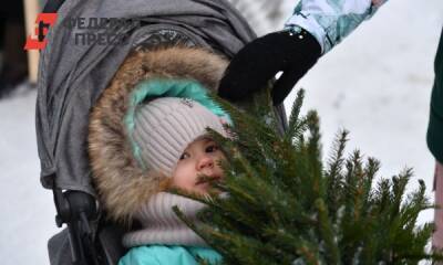 Алтайская полиция ждет снижения преступности в новогоднюю ночь - fedpress.ru - Россия - Барнаул - Алтайский край