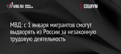 МВД: с 1 января мигрантов смогут выдворять из России за незаконную трудовую деятельность - ivbg.ru - Россия - Украина - Узбекистан - Молдавия - Таджикистан - Азербайджан