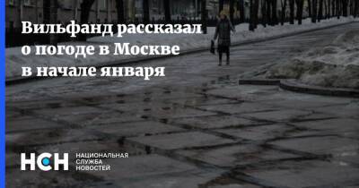 Роман Вильфанд - Вильфанд рассказал о погоде в Москве в начале января - nsn.fm - Москва - Россия