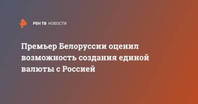 Владимир Путин - Роман Головченко - Премьер Белоруссии оценил возможность создания единой валюты с Россией - ren.tv - Россия - Белоруссия
