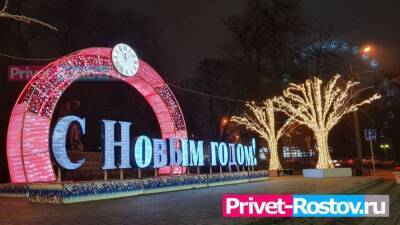 Владимир Жириновский - В России хотят отменить новогодние каникулы ради отпуска россиян - privet-rostov.ru - Россия