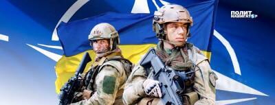 Владислав Шурыгин - Шурыгин: НАТО срочно осваивает Украину, опасаясь не успеть из-за... - politnavigator.net - Россия - Украина