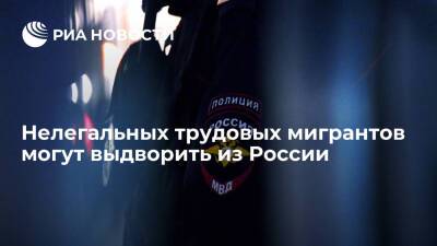МВД: Нелегальные трудовые мигранты с первого января могут быть выдворены из России - ria.ru - Москва - Россия