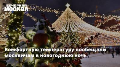 Татьяна Позднякова - Комфортную температуру пообещали москвичам в новогоднюю ночь - vm.ru - Москва - Москва