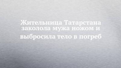 Жительница Татарстана заколола мужа ножом и выбросила тело в погреб - chelny-izvest.ru - Россия - респ. Татарстан - Нижнекамск