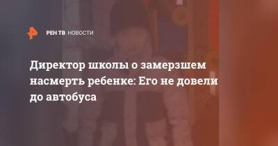 Директор школы о замерзшем насмерть ребенке: Его не довели до автобуса - ren.tv - Московская обл. - Московская область