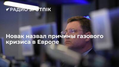 Александр Новак - Австралия - Вице-премьер РФ Новак назвал причины газового кризиса в Европе - smartmoney.one - Россия - США - Австралия - Катар - Европа