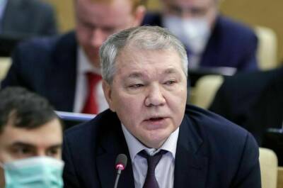 Владимир Путин - Леонид Калашников - Калашников: новый закон о гражданстве понадобился из-за обновлённой Конституции - pnp.ru - Россия