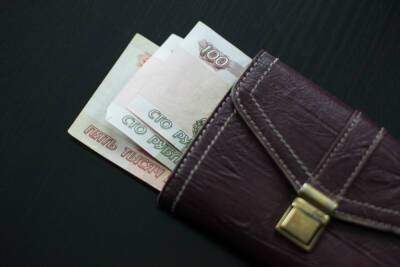 Эксперты сообщили, кому проиндексируют зарплату в 2022 году - abnews.ru - Россия - Царьград