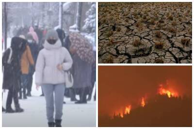 Пять областей Украины пострадают от изменений климата: кому грозят разрушительные потери - politeka.net - Украина