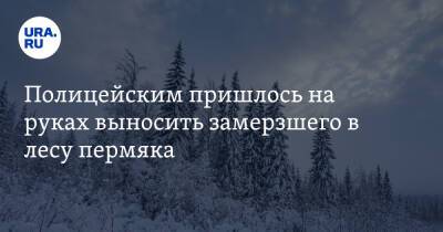 Полицейским пришлось на руках выносить замерзшего в лесу пермяка - ura.news - Пермский край - Византия