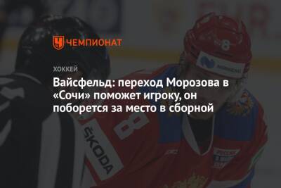 Иван Морозов - Леонид Вайсфельд - Вайсфельд: переход Морозова в «Сочи» поможет игроку, он поборется за место в сборной - championat.com - Россия - Санкт-Петербург - Сочи