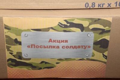 «Посылка солдату»: Дети передали новогодние подарки защитникам ДНР - politnavigator.net - Россия - ДНР - Донбасс - Донецкая обл.