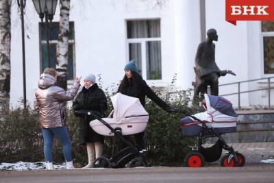 Виктор Бобыря - Владимир Уйба - В Коми будут вручать подарки новорожденным - bnkomi.ru - респ. Коми