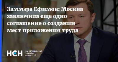 Владимир Ефимов - Заммэра Ефимов: Москва заключила еще одно соглашение о создании мест приложения труда - nsn.fm - Москва - Архангельск