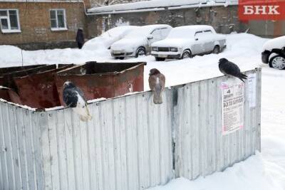 Коми УФАС обвинило регоператора в невыгодных договорах на вывоз мусора - bnkomi.ru - респ. Коми