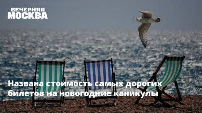 Эксперты подсчитали, сколько стоят самые дорогие билеты в новогодние каникулы - vm.ru - Москва - Россия - Казахстан - Сербия - Иркутск - Таиланд - Иордания - Доминиканская Республика