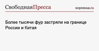 Более тысячи фур застряли на границе России и Китая - svpressa.ru - Россия - Китай - США - Украина
